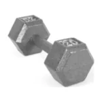 20lb Cast Iron Hex Dumbbell Single, Professional Gym Weights for Strength Training, Home & Commercial Fitness