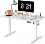 48x24 Inches Electric Standing Desk, Height Adjustable Sit to Stand Workstation for Home Office, White