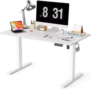 48x24 Inches Electric Standing Desk, Height Adjustable Sit to Stand Workstation for Home Office, White