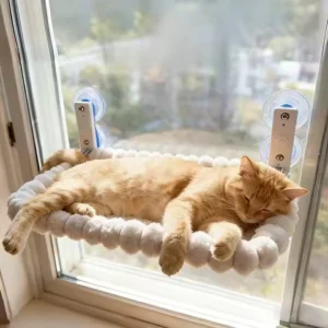 Cat Window Hammock with Strong Suction Cups â Cozy Perch for Indoor Cats