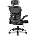Ergonomic Office Chair with Headrest 3D, Mesh Office Desk Chair with Adjustable Lumbar Support, Computer Chair with Flip up Armr