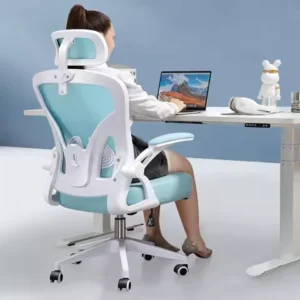 Office Chair Ergonomic Desk Chair with Adjustable Headrest and Lumbar Support Hi