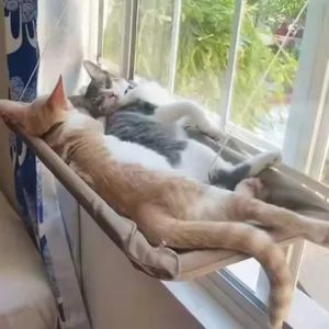 Winter Cat Window Hanging Hammock Bed Suction Cup Space Saving All Seasons Easy Install Pet Bed Cat Climbing Frame